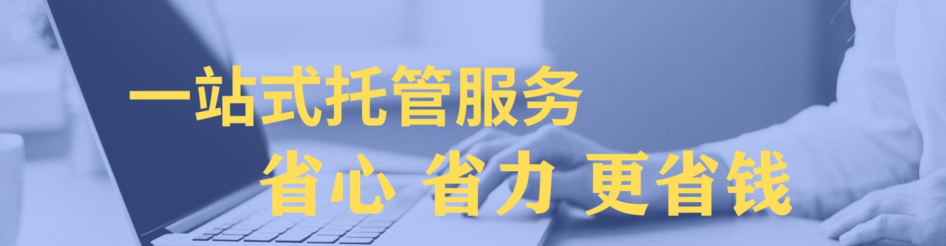 利通sem代运营